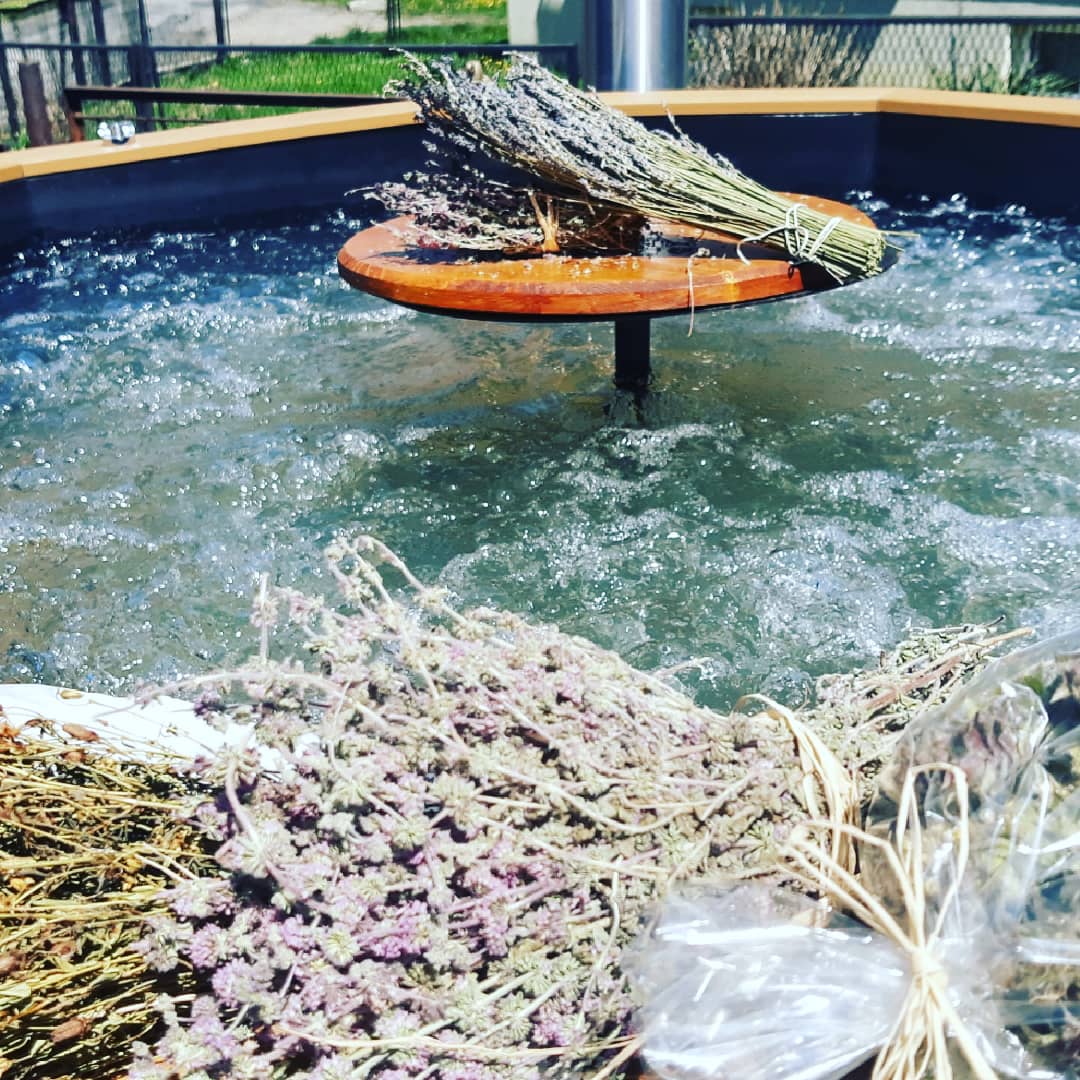 gojnik przy wannie termalnej