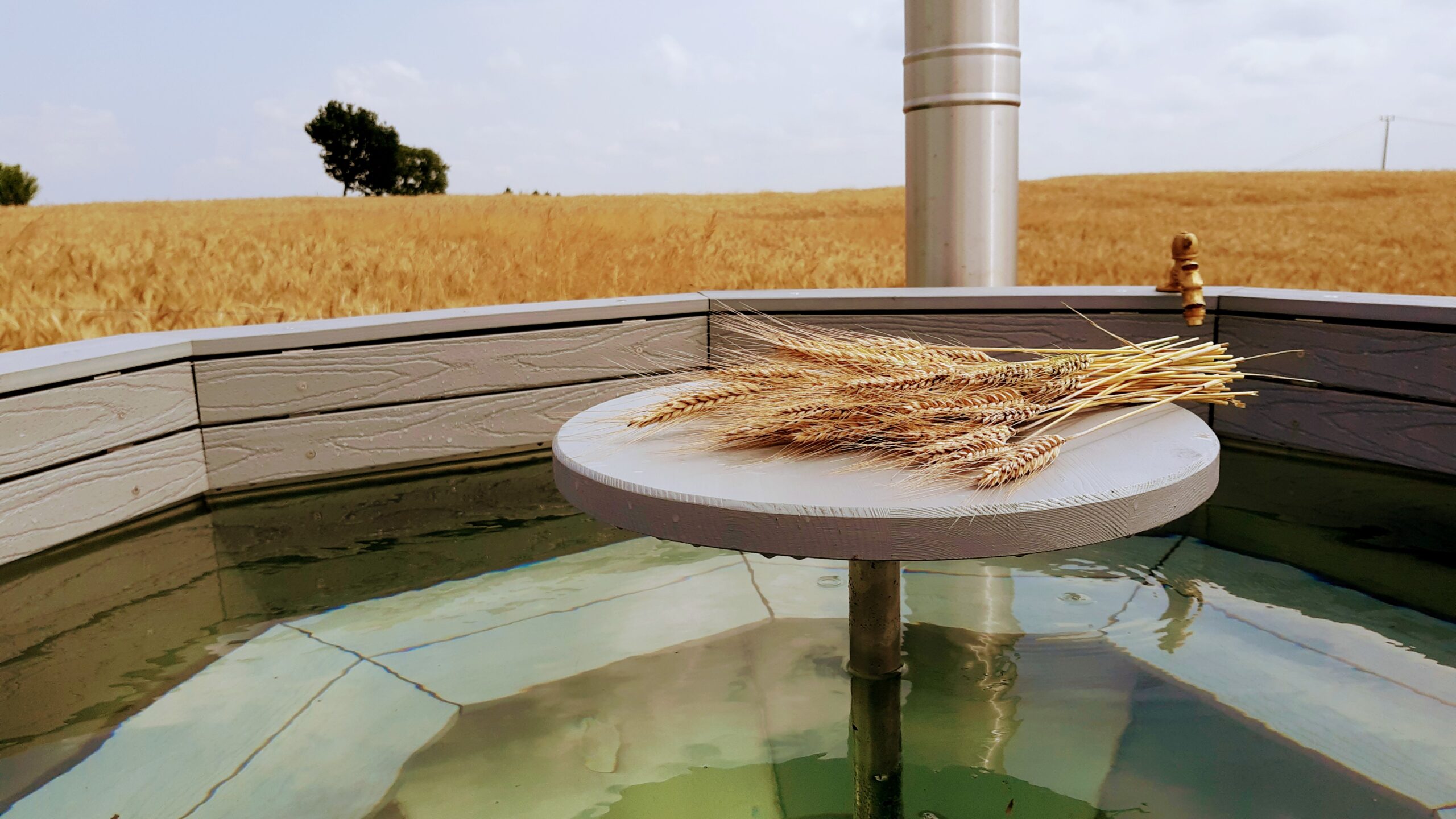 kłosy zboża na stoliku wanny termalnej